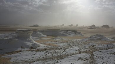 Ancient Rock Art, Geology Define Tassili n'Ajjer UNESCO Site