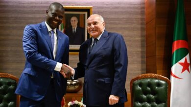 Algiers, Pretoria Formalize Strategic Partnership with New Mechanism