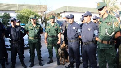 Joint Force Combats Crime in Mouzaïa, El Affroun