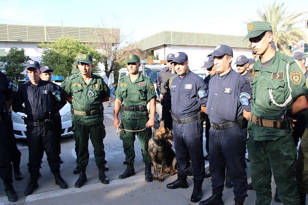 Joint Force Combats Crime in Mouzaïa, El Affroun