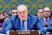 UN Security Council Receives Western Sahara Sovereignty Warning