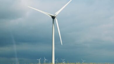 Tender Issued for Two 100MW Wind Farms in Algeria