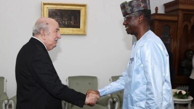 Regional Security Enhanced by Algeria-Niger Military Consolidation