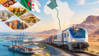 President Tebboune Orders Algiers-Tamanrasset Railway Completion by 2028