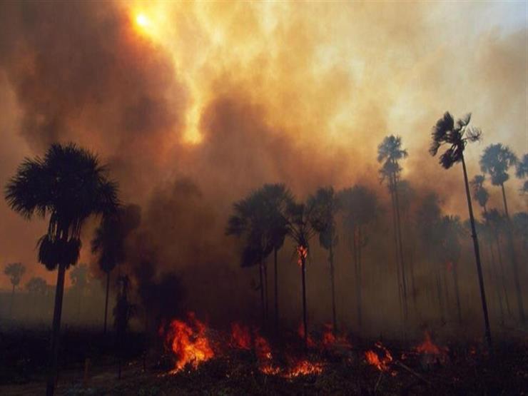 Forest Fire Victims to Receive $900 Million in State Aid