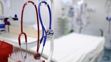 WHO Director-General Praises Algeria's Health System Development