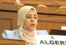 African Commission Urged to Probe Western Sahara Rights by Algeria