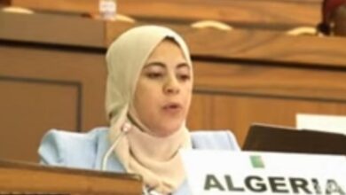 African Commission Urged to Probe Western Sahara Rights by Algeria