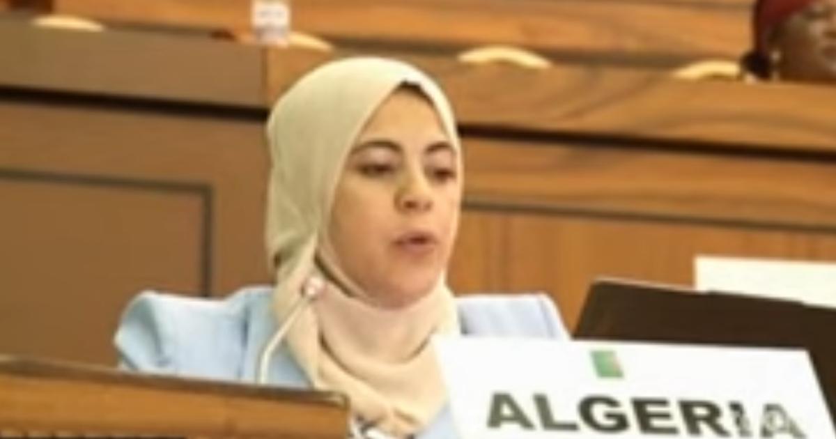 African Commission Urged to Probe Western Sahara Rights by Algeria