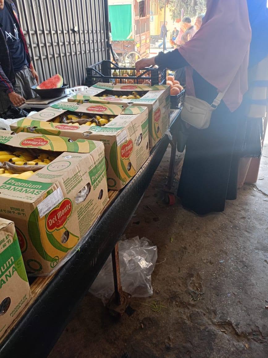 Banana Prices Return to Accessible Levels in Algeria