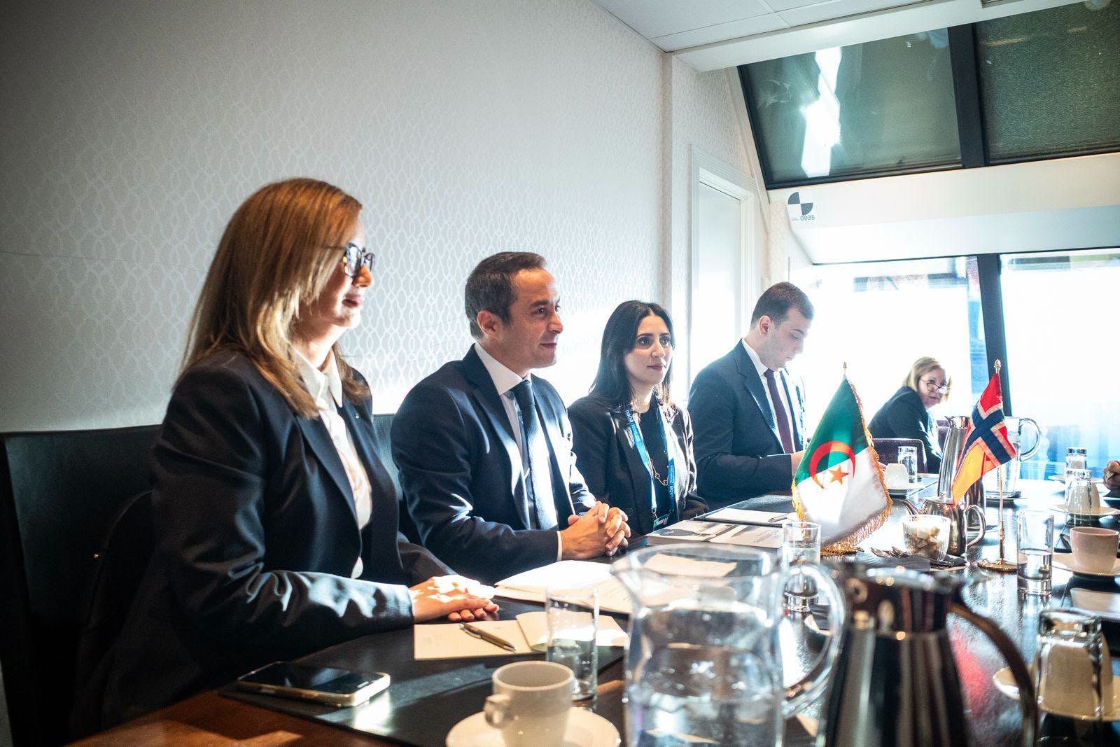 Scandinavian-African Summit Welcomes Algeria as Special Guest