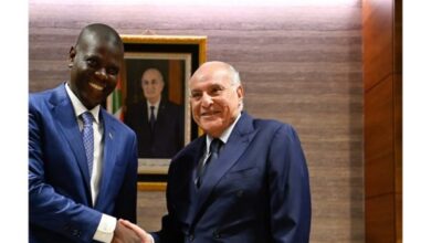 Attaf, Lamola Meet to Strengthen Algeria-South Africa Partnership