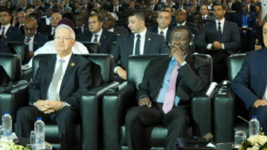 Nasri Represents President Tebboune at Africa Alamein Forum
