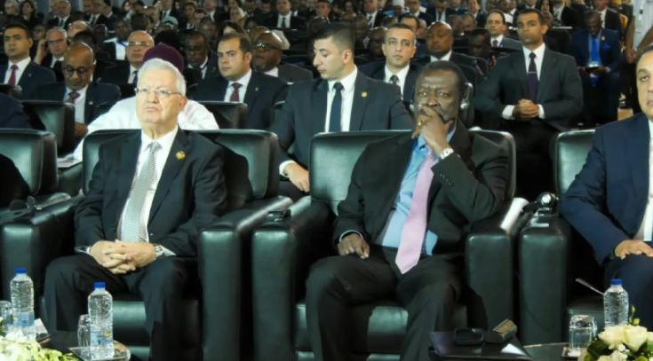 Nasri Represents President Tebboune at Africa Alamein Forum