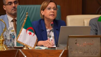 Arab Ministers Council Adopts Algeria's Anti-Desertification Initiative