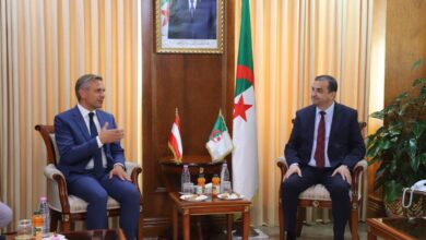Energy Ministers Explore Broadened Algiers-Vienna Gas Ties