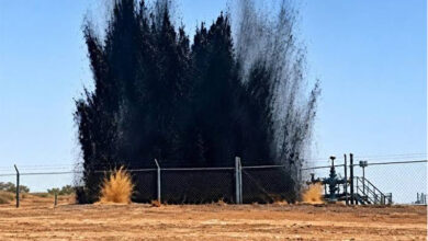 Sonatrach Experts Aid Niger Oil Well Incident