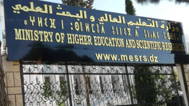 THE 2027 Rankings: Algeria Achieves Maghreb First, African Second