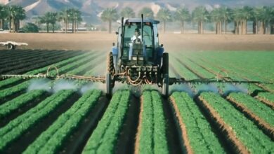Farmers' Equipment to See 9% VAT Decrease in PLF 2027
