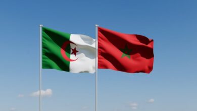 International Sabotage Ring of 61 Disrupted by Algerian Security