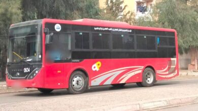 Algiers Directorate Reinforces Public Transport with 10 New Buses