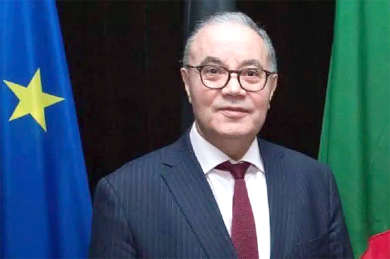 Sahrawi Self-Determination Key to Western Sahara Resolution