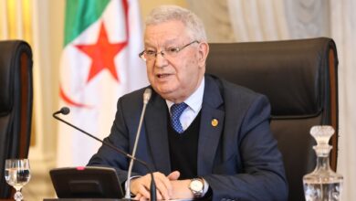 El Alamein Forum Hears Tebboune's Vision for NEPAD Success