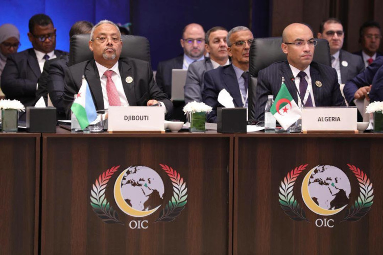 OCI Ministers Convene in Baghdad; Algeria Discusses Palestine