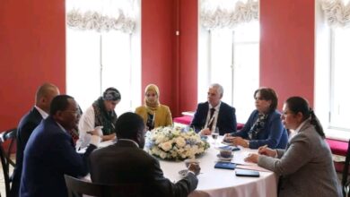 Congo, Algeria Explore Cultural Cooperation