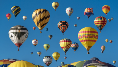 First International Balloon, Kite Festival Takes Flight in Timimoun