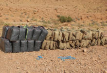ANP Neutralizes Trafficker, Seizes 1,660 kg Drugs in Béchar Operation