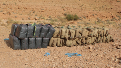 ANP Neutralizes Trafficker, Seizes 1,660 kg Drugs in Béchar Operation