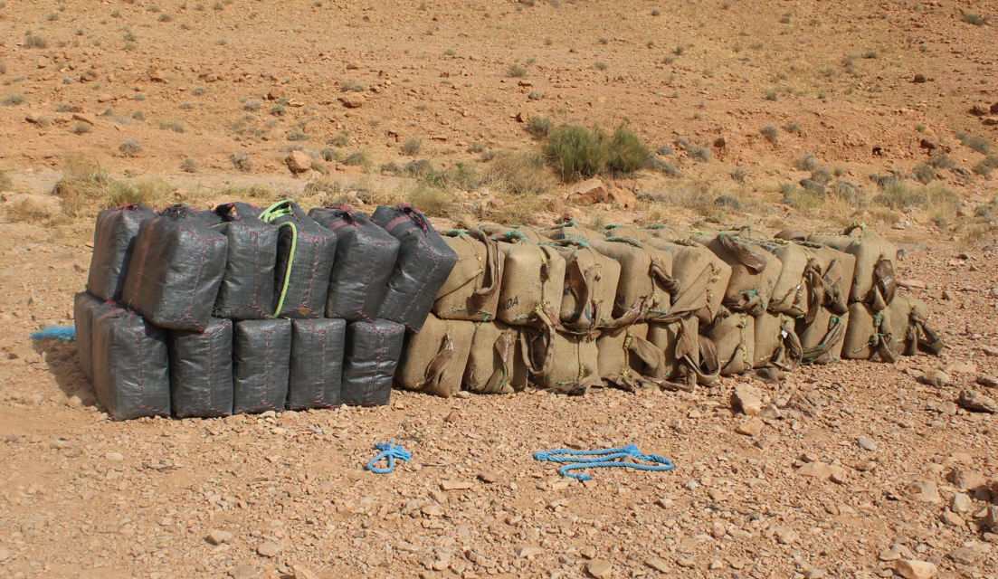 ANP Neutralizes Trafficker, Seizes 1,660 kg Drugs in Béchar Operation
