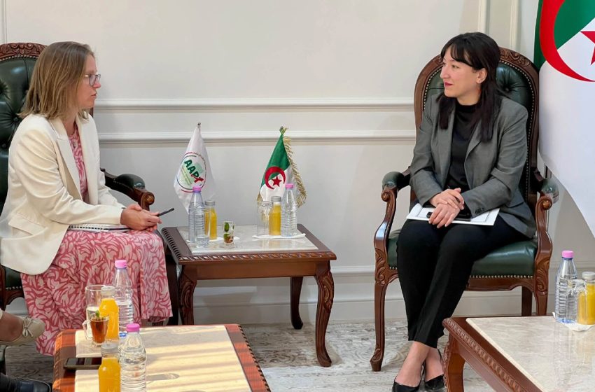 UK, Algeria Discuss Investment Across Five Key Sectors