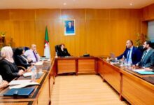 Cultural Radiance Agency Relaunch Targets Global Algerian Art