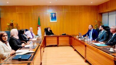 Cultural Radiance Agency Relaunch Targets Global Algerian Art