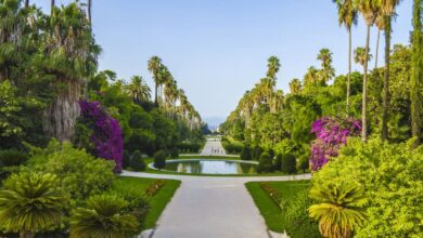 American Tourist Vows Return After Algerian Visit
