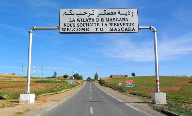 Mascara Province Sees Eight-Fold Legume Production Surge