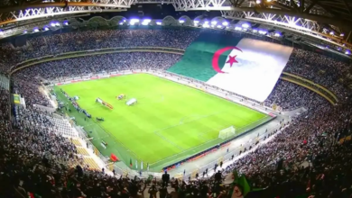 New FIFA Ranking Places Algerian Squad at 28th Globally