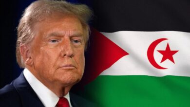 US Official Praises Algeria as "Very Good Partner"