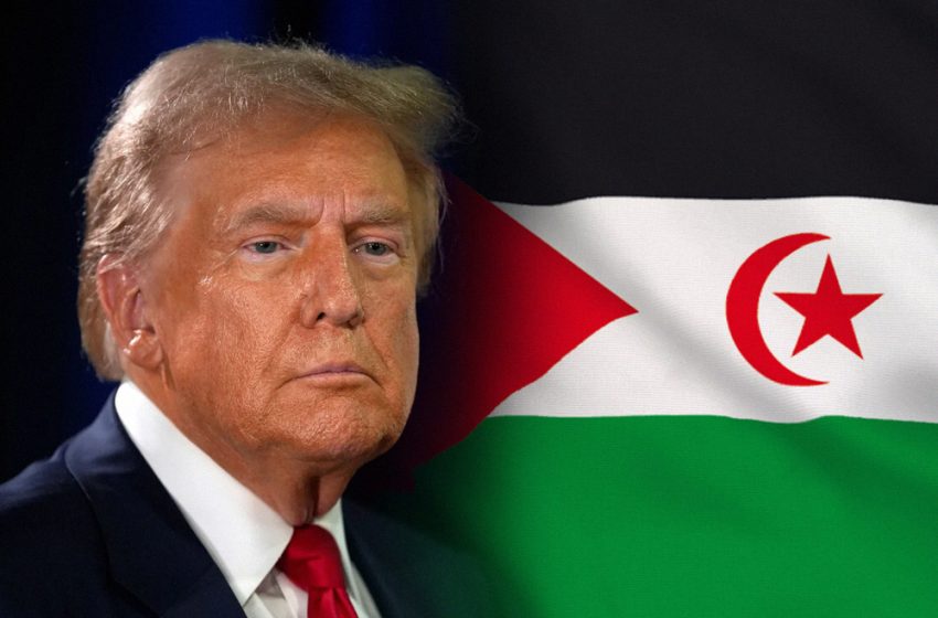 US Official Praises Algeria as "Very Good Partner"