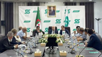 Minister Kouidri Leads Saidal Council on Drug Innovation