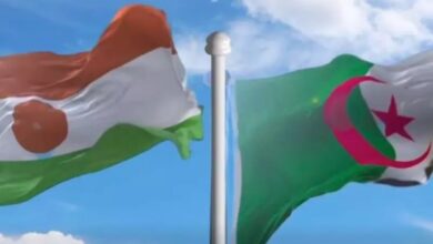 Niger and Algeria Sign Audiovisual Regulation Accord