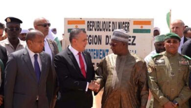 Six-Nation Project Connects Algeria, Niger with Digital Backbone