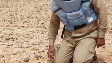 UN Council Adopts Algeria-Backed Mine Victim Assistance
