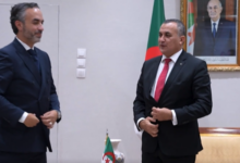 Roblox Partners Algeria on Game Developer Training Program