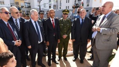 APN President, Minister Honor Diaspora's National Role