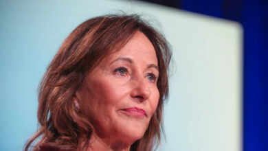 French Politician Royal Rebukes Press on Algerian Sovereignty