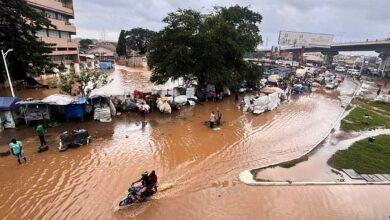 African Regions Lead Global Disaster Resilience Gains, Algeria Contributes