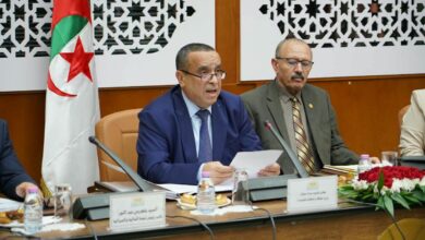 4.64 Billion Dollar Investment Planned for Algerian Power Sector